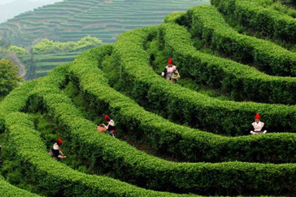 1-1F4051GS2V5.jpg 1-1F4051GS2V5.jpg