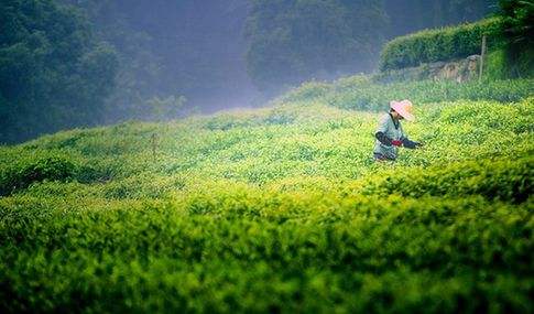 1-1F605110U0C6.jpg 1-1F605110U0C6.jpg