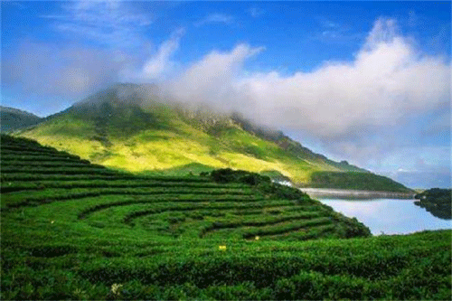 1-1F5251QP4534.png 1-1F5251QP4534.png