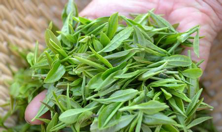 1-1F413164552926.jpg 1-1F413164552926.jpg