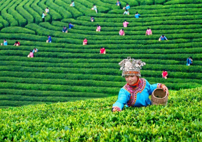 1-1F42Q64333126.jpg 1-1F42Q64333126.jpg