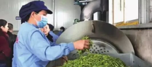 1-1F31GJ201M2.png 1-1F31GJ201M2.png