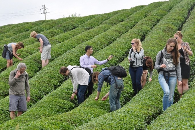 1-1F5091P101644.jpg 1-1F5091P101644.jpg